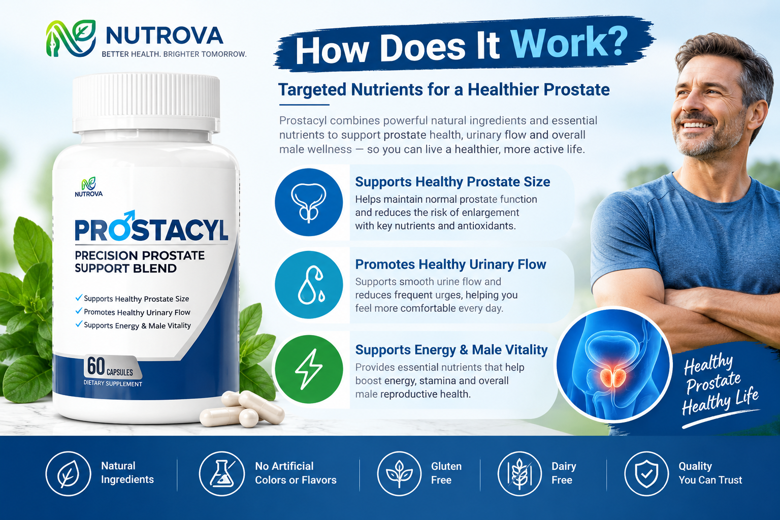 How Prostacyl works - targeted nutrients for a healthier prostate